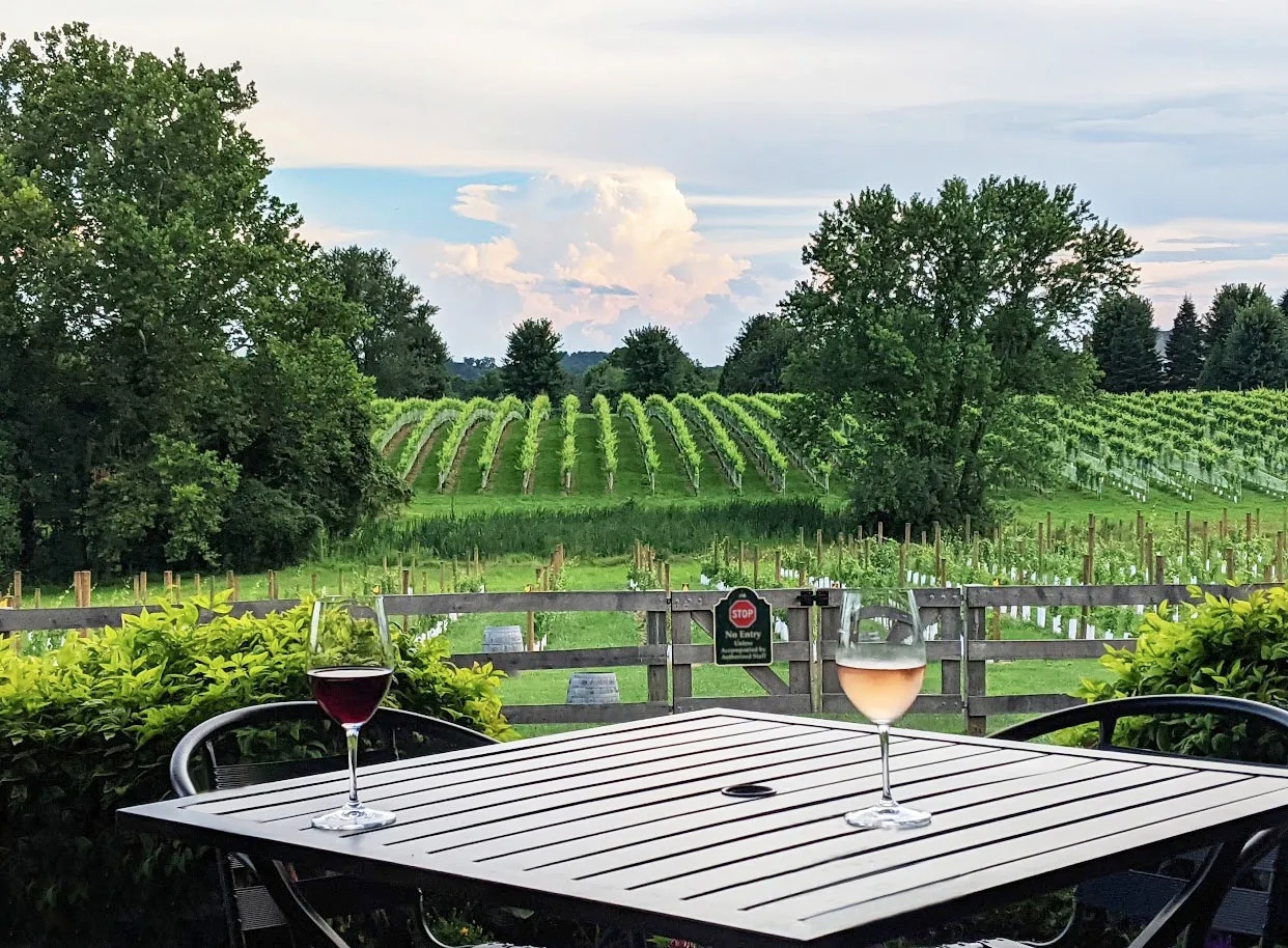 8 Chains North Winery — vineyard view with wine glasses on a patio table