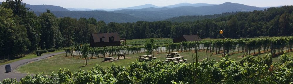 Bozzo Family Vineyards — winery photo