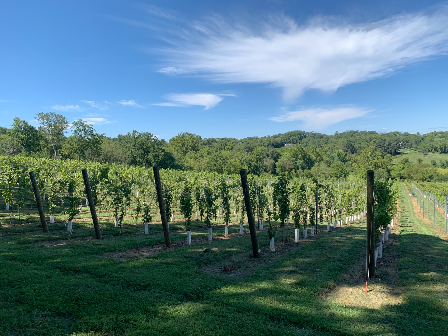 Endhardt Vineyards — winery photo