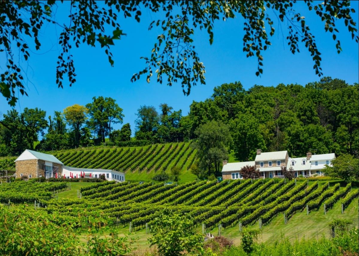 Hillsborough Vineyards — winery photo