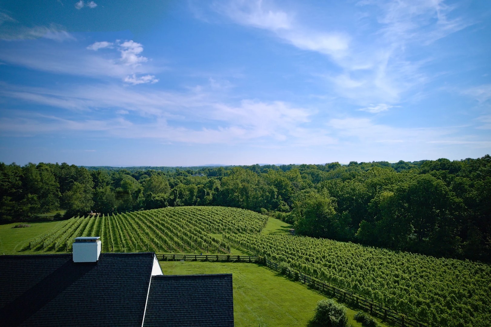 Iron Will Winery — winery photo