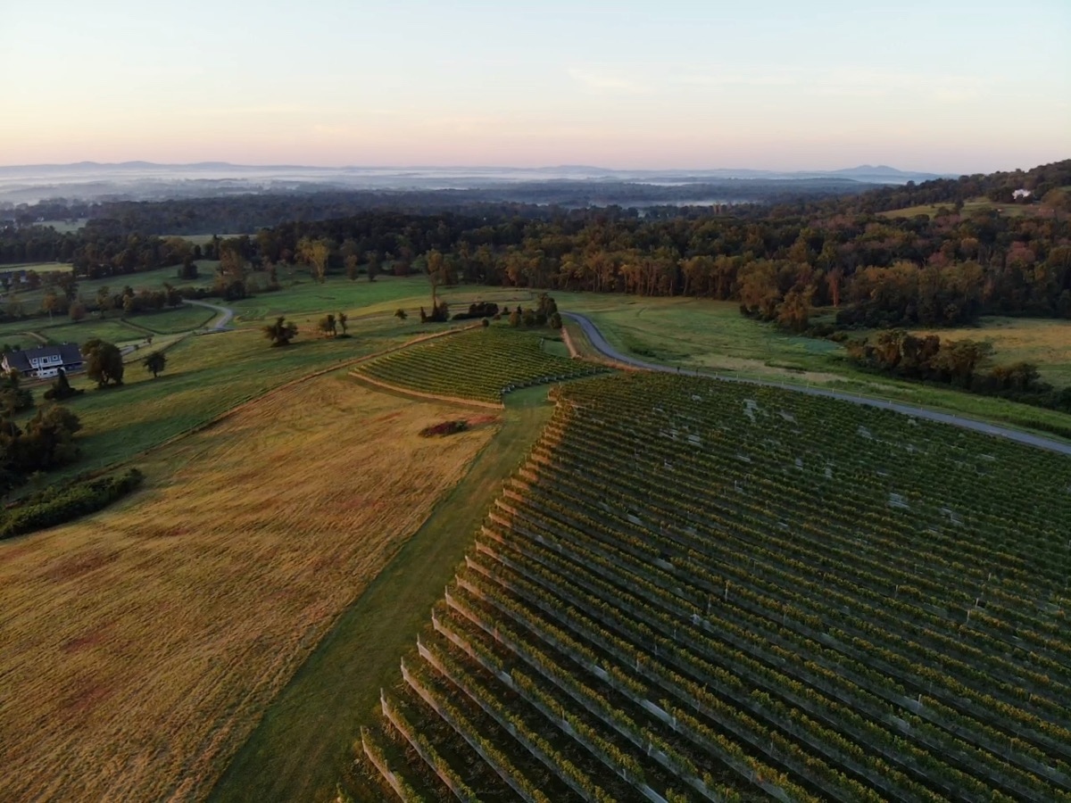 October One Vineyard — winery photo